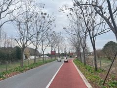 -上海长兴岛郊野公园