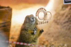 -酷嗒动物文化乐园(cutezoo西溪乐天城店)