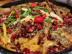 -老板恋上鱼(高新万达店)