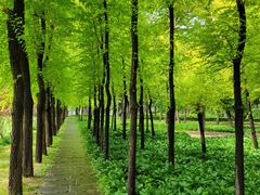 -长春市南湖公园