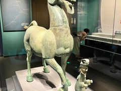 -广西壮族自治区博物馆