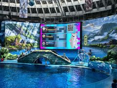 -海合安成都极地海洋公园