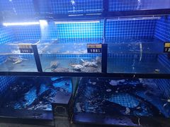 -千岛湖小鱼儿·淳安匠心农家菜