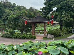 -广州莲花山旅游区