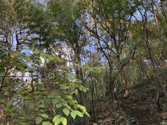 -南山风景名胜区