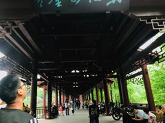 -重庆彩云湖湿地公园