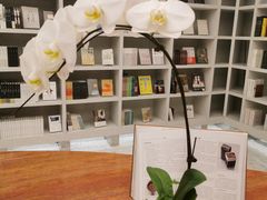 -二酉书店TOYOU BOOKS