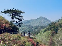 -木兰云雾山