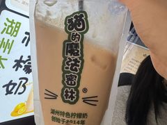 -猫的魔法密林(衣裳街店)