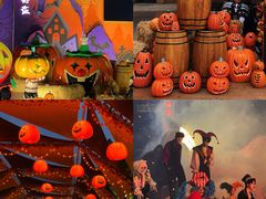 -厦门方特梦幻王国