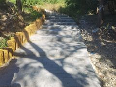 -白水寺森林公园