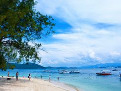 -东姑阿都拉曼海洋公园