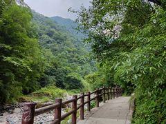 -西岭雪山大飞水景区