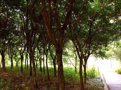 iphone_upload_pic-瞰胜楼