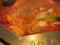 -蜀九香火锅(彩虹店)