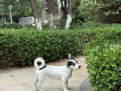 -心仪动物医院·牙专科·肿瘤·心脏科(西客站院)