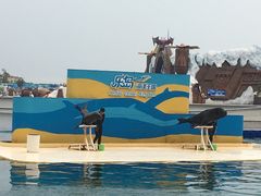 -秦皇岛乐岛海洋王国