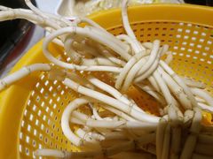 -钢管厂五区小郡肝火锅串串香(总店)