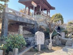 -徐州龟山景区