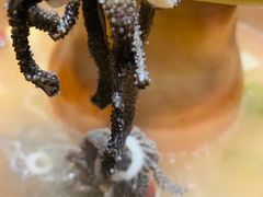 -清真·京华源铜锅涮肉(丰庆店)