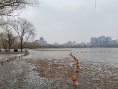 -莲花池公园