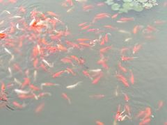 -无锡动物园·太湖欢乐园