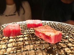 -飞驒牛 烤肉 马食一代(銀座店)