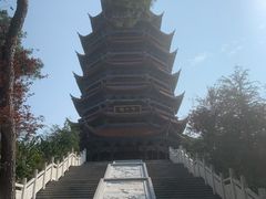 -铁山坪森林公园