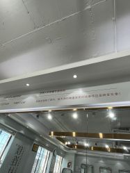 -镁连社·美联社