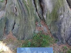 -仓颉庙