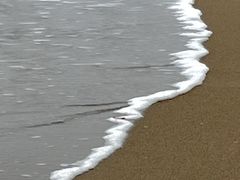 -南澳海滩
