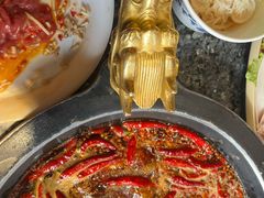 -蜀大侠火锅(总府路店)