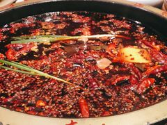 -一斗火锅·招财羊毛肚(泰吉滨江店)
