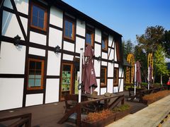 -金山农民画村-枫泾波兰倒置屋