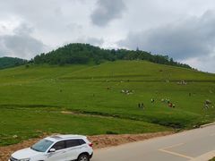 -关山草原