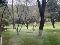 -天目湖御水温泉·度假酒店