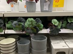 -宜家家居(哈尔滨商场店)