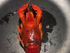-沪小胖小龙虾(淮海中路旗舰店)