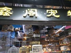 -大自然花鸟鱼虫市场