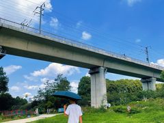 -秀丽东方