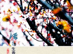 -北京植物园南门售票处