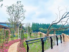 -东平国家森林公园