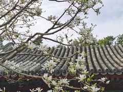 -颐和园
