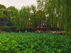 -四川大学(望江校区)
