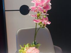 -俏江南天津时尚曲艺主题餐厅(马场道店)