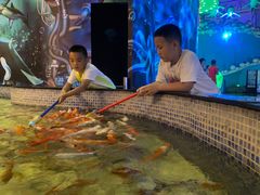 -烟台海昌鲸鲨海洋公园