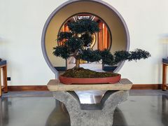 -腾冲和顺柏联酒店