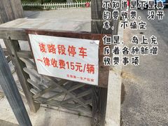 -花岙岛