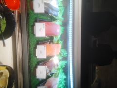 -威珀斯酒店·珀萃美食餐厅 | 海鲜刺身·现烤生蚝·特色烤肉