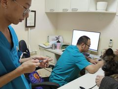 -瑞派宠物医院·24小时骨科·心脏·核磁(哈尔滨南岗店)